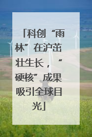 科创“雨林”在沪茁壮生长，“硬核”成果吸引全球目光