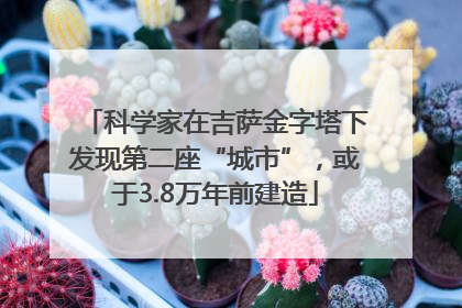 科学家在吉萨金字塔下发现第二座“城市”，或于3.8万年前建造
