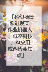 科幻场景照进现实 作业机器人、低空科技、AI应用成西博会焦点
