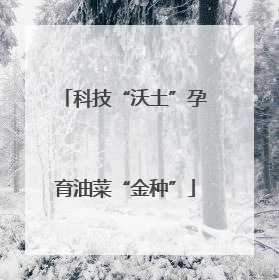科技“沃土”孕育油菜“金种”