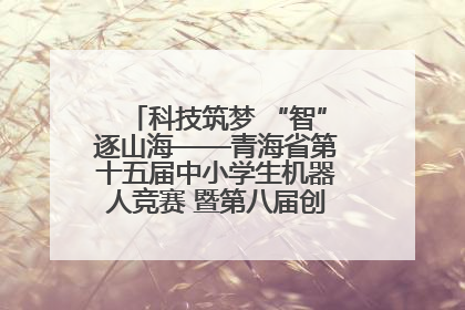 科技筑梦 “智”逐山海——青海省第十五届中小学生机器人竞赛 暨第八届创新设计大赛见闻