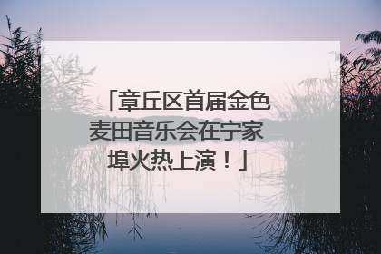 章丘区首届金色麦田音乐会在宁家埠火热上演！