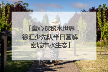 童心探秘水世界，徐汇少先队半日营解密城市水生态