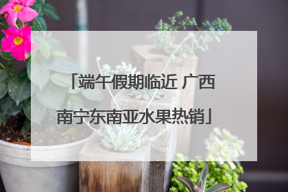 端午假期临近 广西南宁东南亚水果热销
