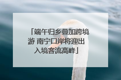 端午归乡叠加跨境游 南宁口岸将迎出入境客流高峰