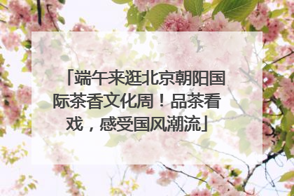 端午来逛北京朝阳国际茶香文化周！品茶看戏，感受国风潮流