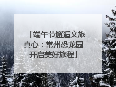 端午节邂逅文旅真心：常州恐龙园开启美好旅程