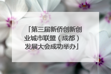 第三届新侨创新创业城市联盟（成都）发展大会成功举办