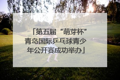第五届“萌芽杯”青岛国际乒乓球青少年公开赛成功举办