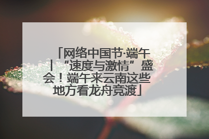 网络中国节·端午丨“速度与激情”盛会！端午来云南这些地方看龙舟竞渡