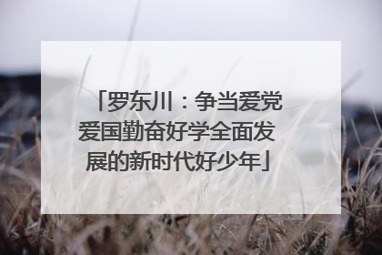 罗东川：争当爱党爱国勤奋好学全面发展的新时代好少年