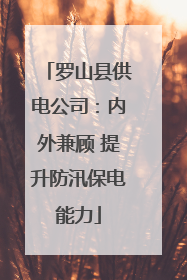 罗山县供电公司：内外兼顾 提升防汛保电能力