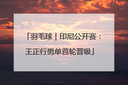 羽毛球｜印尼公开赛：王正行男单首轮晋级