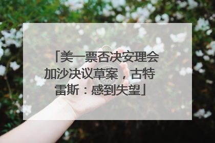 美一票否决安理会加沙决议草案，古特雷斯：感到失望