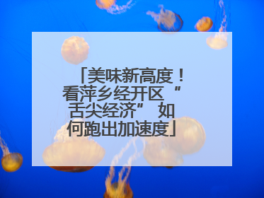 美味新高度！看萍乡经开区“舌尖经济” 如何跑出加速度