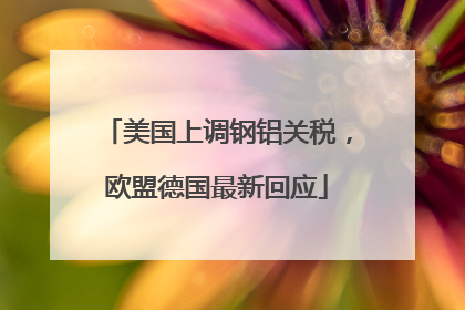 美国上调钢铝关税，欧盟德国最新回应