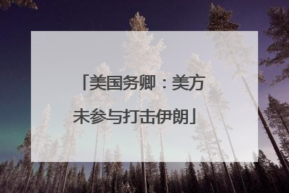美国务卿：美方未参与打击伊朗