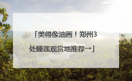 美得像油画！郑州3处睡莲观赏地推荐→