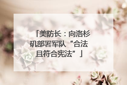 美防长：向洛杉矶部署军队“合法且符合宪法”