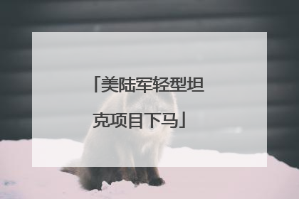 美陆军轻型坦克项目下马