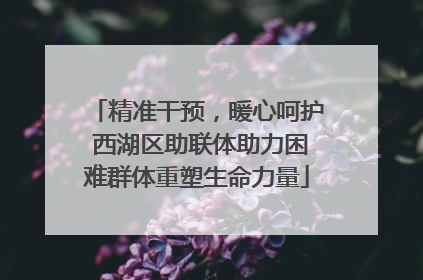 精准干预，暖心呵护 西湖区助联体助力困难群体重塑生命力量