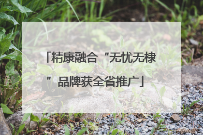 精康融合“无忧无棣”品牌获全省推广