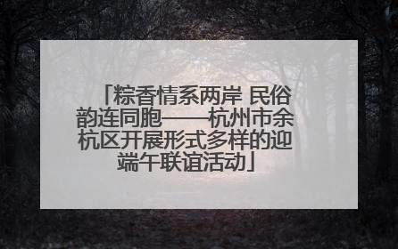 粽香情系两岸 民俗韵连同胞——杭州市余杭区开展形式多样的迎端午联谊活动