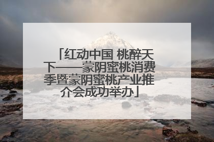 红动中国 桃醉天下——蒙阴蜜桃消费季暨蒙阴蜜桃产业推介会成功举办