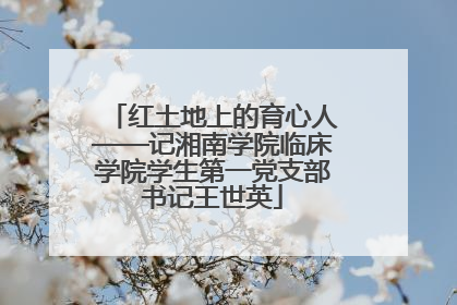 红土地上的育心人——记湘南学院临床学院学生第一党支部书记王世英