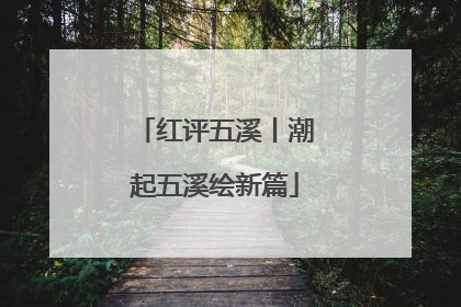 红评五溪丨潮起五溪绘新篇