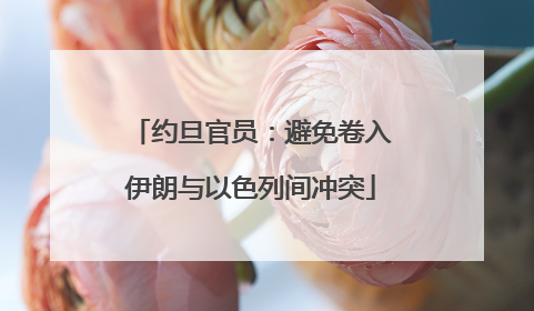 约旦官员：避免卷入伊朗与以色列间冲突