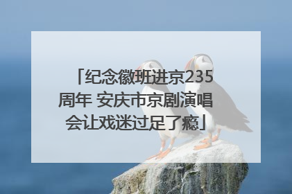 纪念徽班进京235周年 安庆市京剧演唱会让戏迷过足了瘾