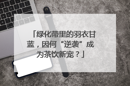 绿化带里的羽衣甘蓝，因何“逆袭”成为茶饮新宠？
