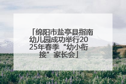 绵阳市盐亭县指南幼儿园成功举行2025年春季“幼小衔接”家长会