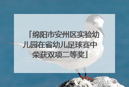 绵阳市安州区实验幼儿园在省幼儿足球赛中荣获双项二等奖