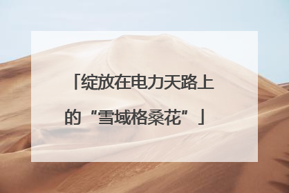 绽放在电力天路上的“雪域格桑花”