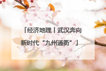 经济地理丨武汉奔向新时代“九州通衢”