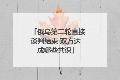 俄乌第二轮直接谈判结束 双方达成哪些共识