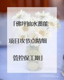 佛坪抽水蓄能项目攻节点精细管控保工期