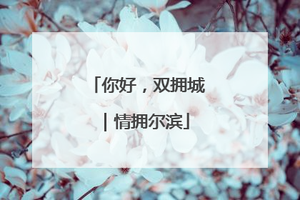 你好，双拥城｜情拥尔滨