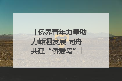 侨界青年力量助力嵊泗发展 同舟共建“侨爱岛”