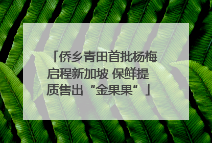 侨乡青田首批杨梅启程新加坡 保鲜提质售出“金果果”