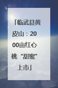 临武县黄皮山：2000亩红心桃“甜蜜”上市