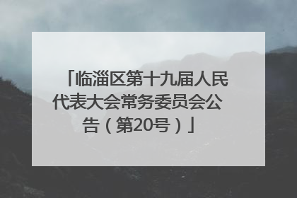 临淄区第十九届人民代表大会常务委员会公告（第20号）