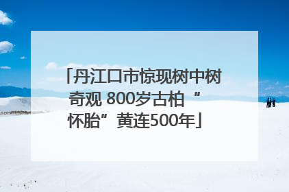 丹江口市惊现树中树奇观 800岁古柏“怀胎”黄连500年