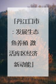 丹江口市：发展生态鱼养殖 激活库区经济新动能