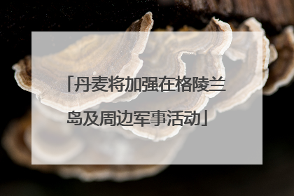 丹麦将加强在格陵兰岛及周边军事活动