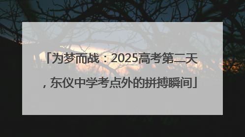 为梦而战：2025高考第二天，东仪中学考点外的拼搏瞬间