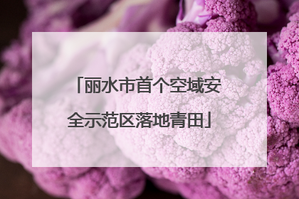 丽水市首个空域安全示范区落地青田