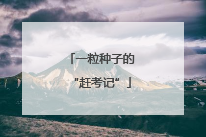 一粒种子的“赶考记”